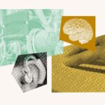 Collage of images related to Disability Rights