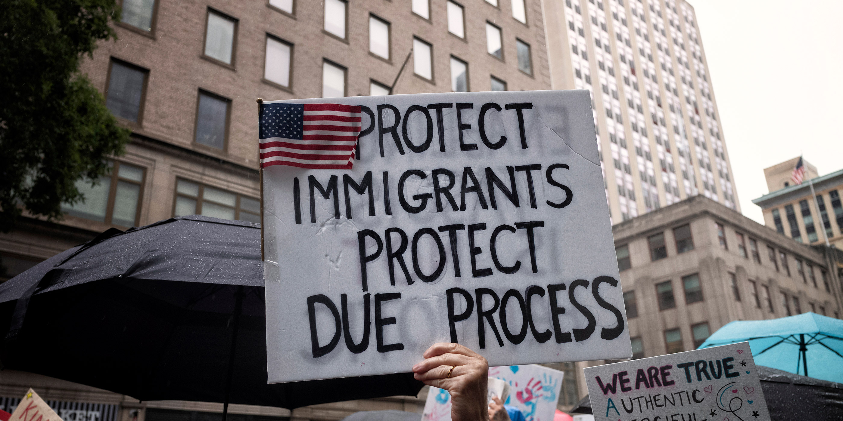 A demonstration sign that says "Protect Immigrants, Protect Due Process."